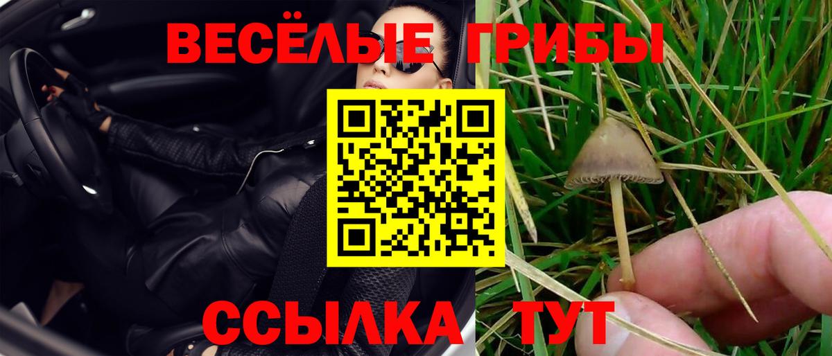 Псилоцибиновые грибы Magic Shrooms Ангарск